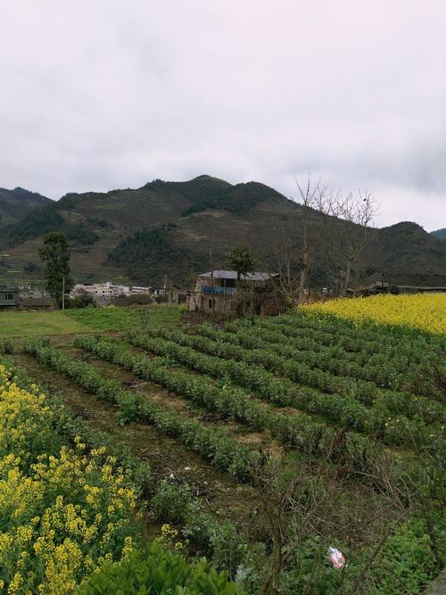 古碑镇天气预报更新通知