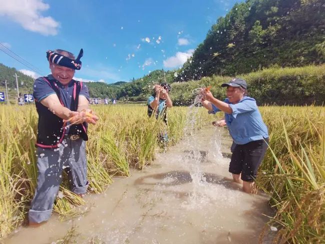 连山壮族瑶族自治县农业农村局最新动态报道