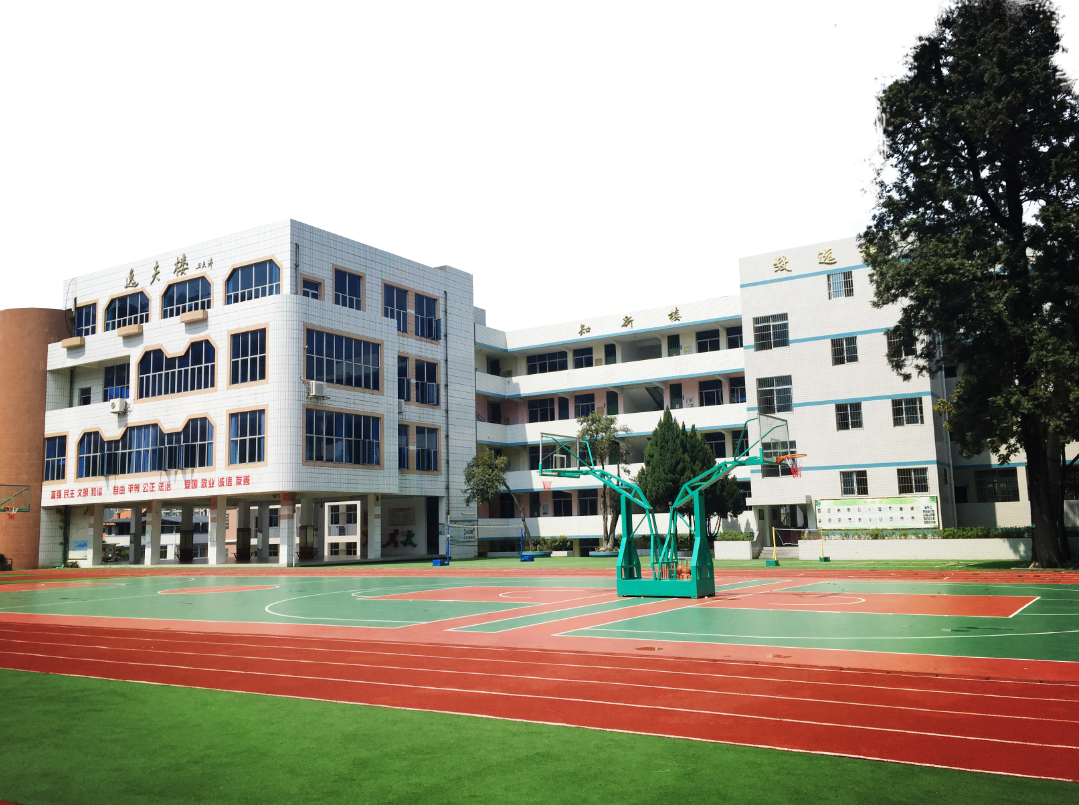 闽清县小学最新动态报道