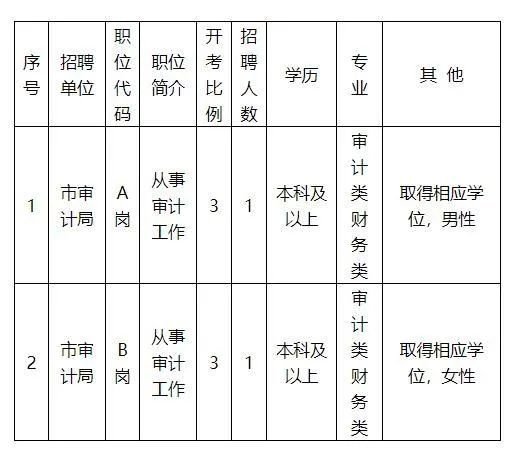 高港区审计局最新招聘信息详解