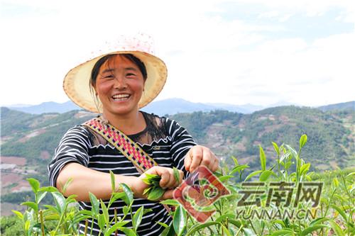 象图乡红旗林业局的最新天气预报及其影响