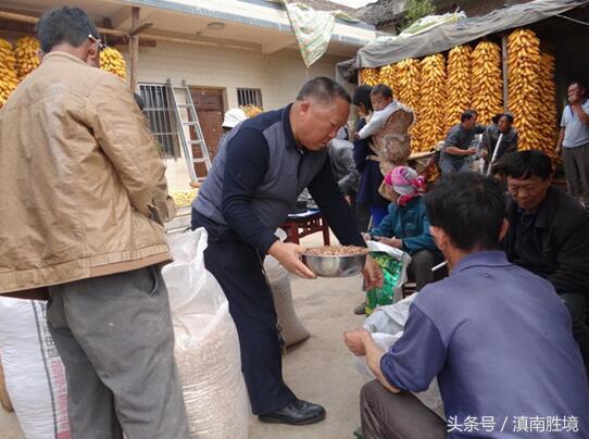 良种场虚拟村委会最新天气预报及其应用