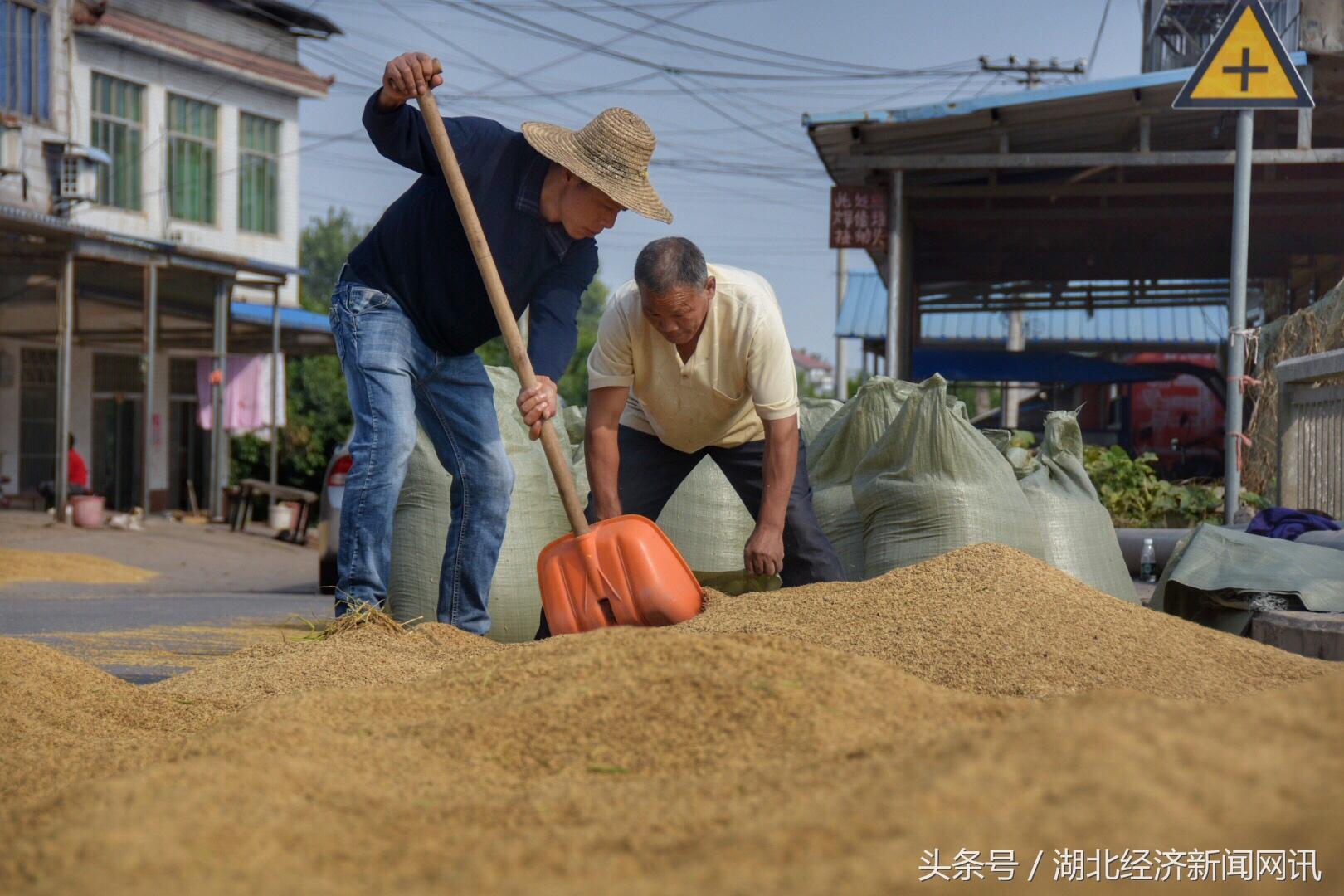 荆州区农业农村局最新发展规划概览