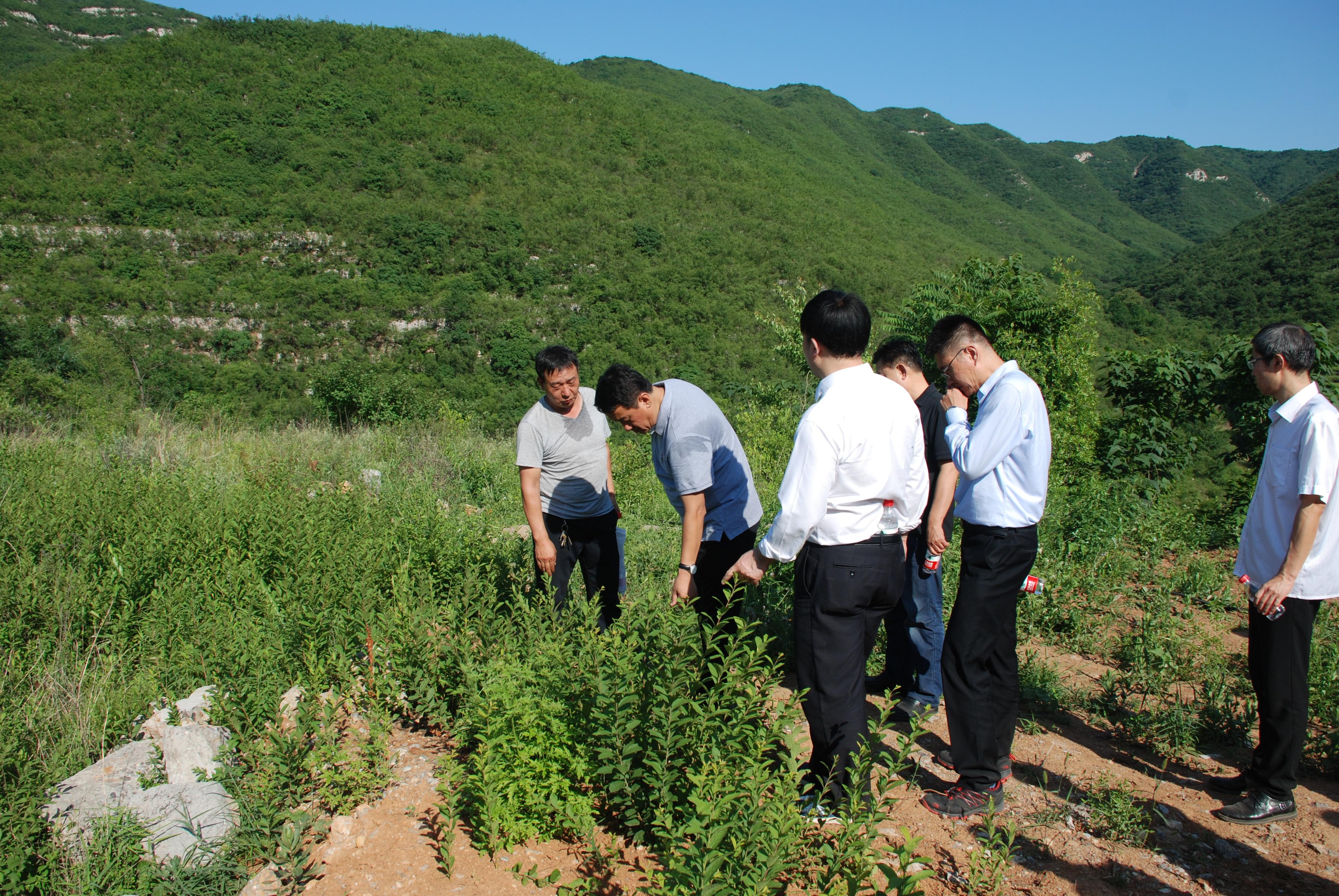 平定县医疗保障局最新项目，构建全方位医疗保障体系框架