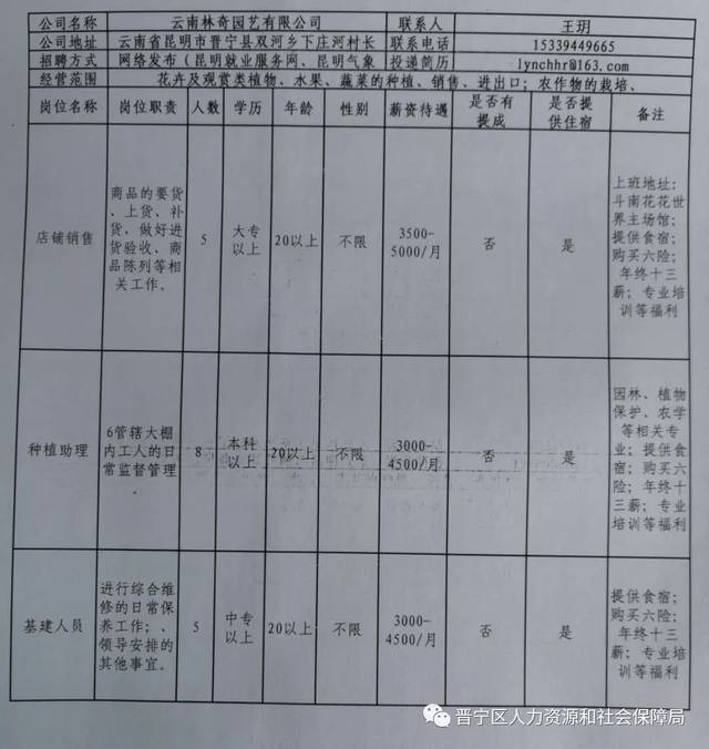 新宁县科技局最新招聘信息全面解析