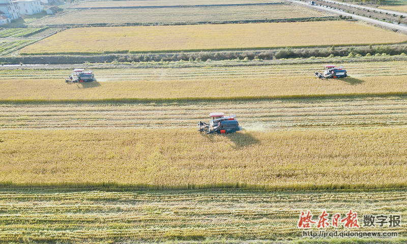 公安部后勤供应处农场天气预报更新及其潜在影响分析