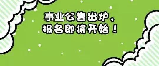 巫溪县人民政府办公室最新招聘信息详解