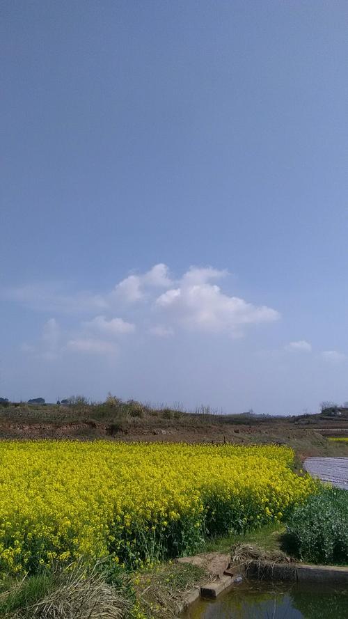 盘溪镇天气预报更新通知