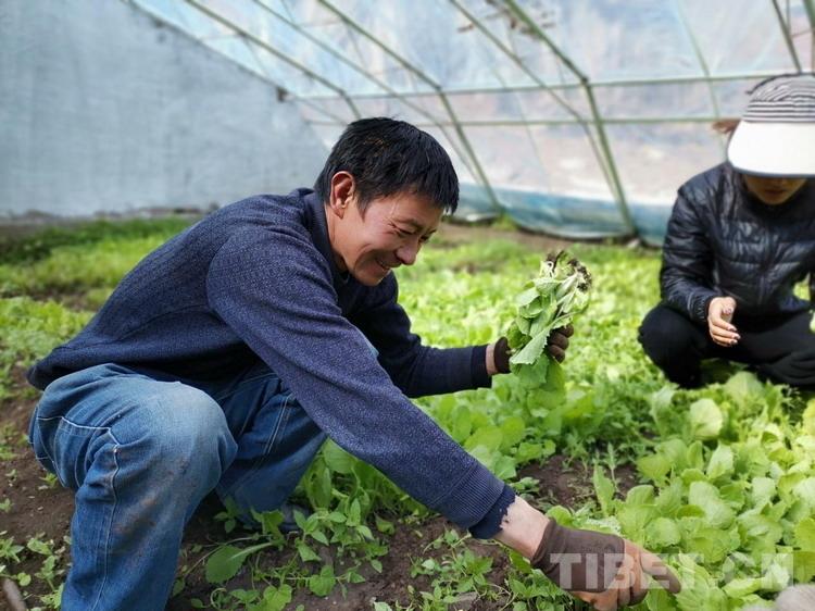 肯通乡领导团队引领地方发展新篇章