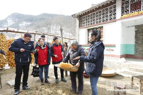 岳后渠村委会最新动态报道