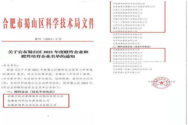 蜀山区科学技术和工业信息化局最新招聘概览