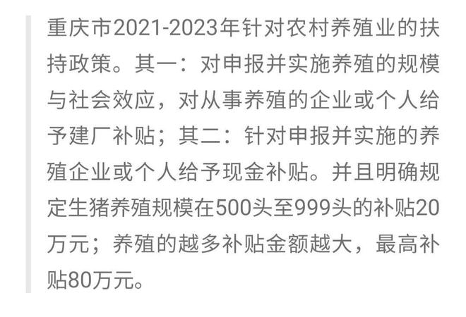 鹿鸣乡人事任命新动态与未来展望