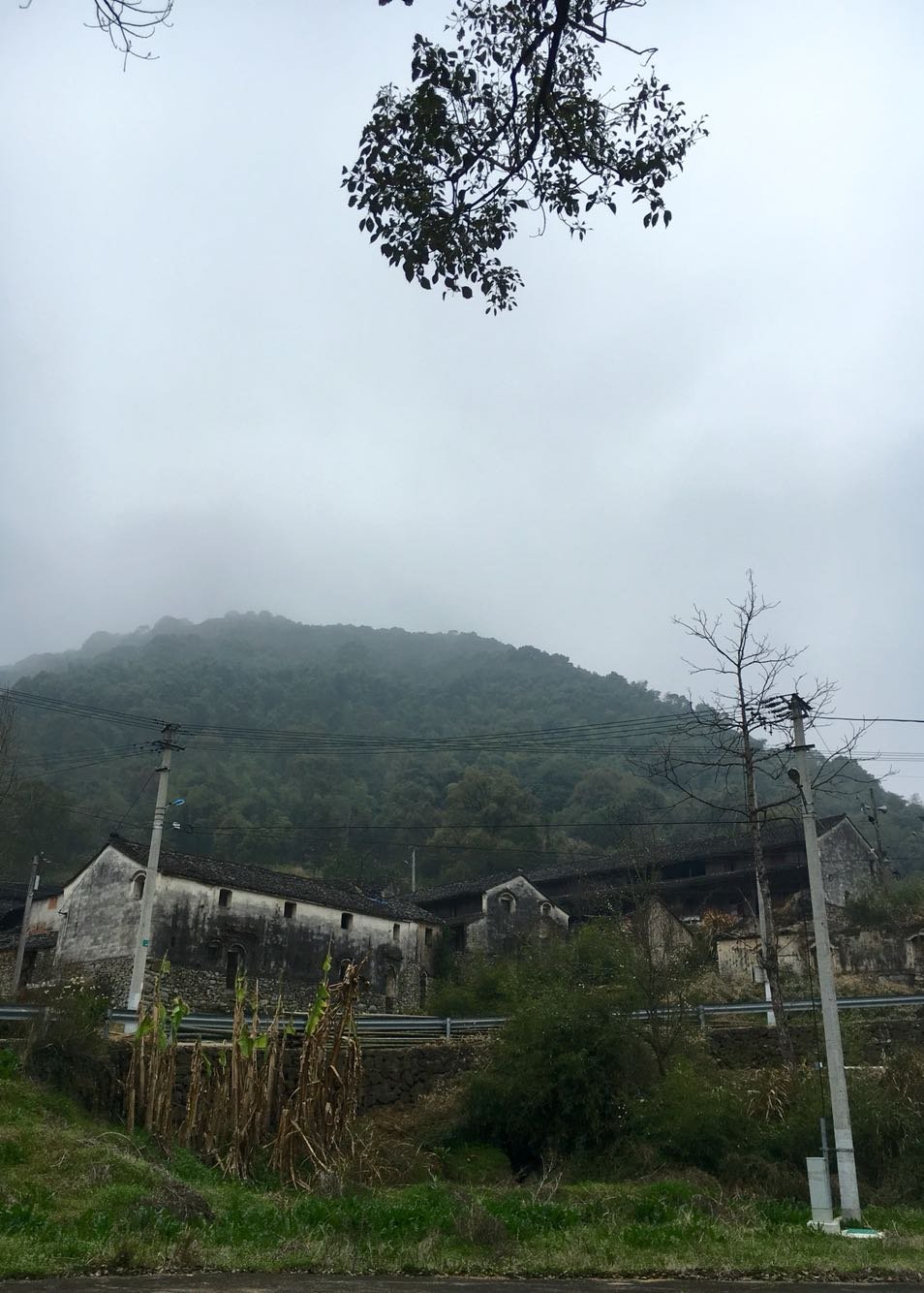 木石镇天气预报更新通知