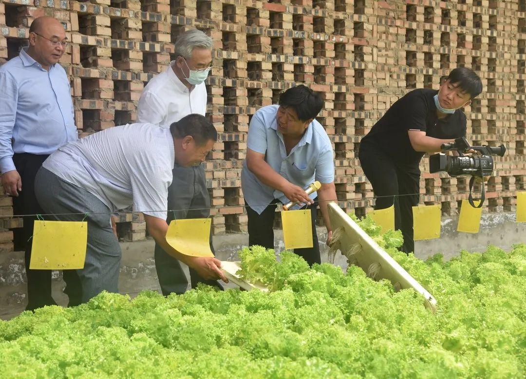 成安县科学技术和工业信息化局最新动态报道