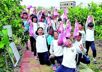 香山农场打造多元化、可持续现代农业示范区发展规划揭秘