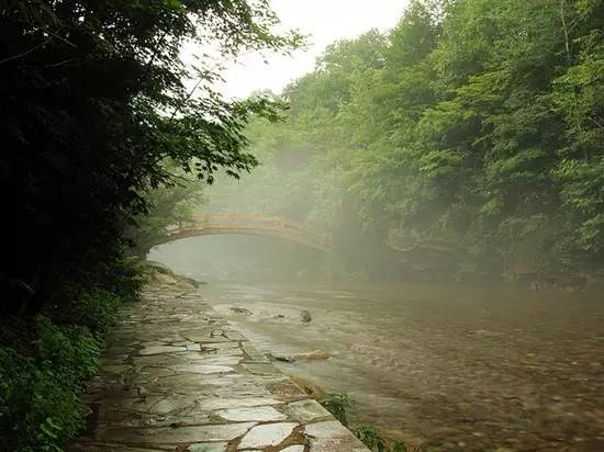 常河营乡最新交通动态报道