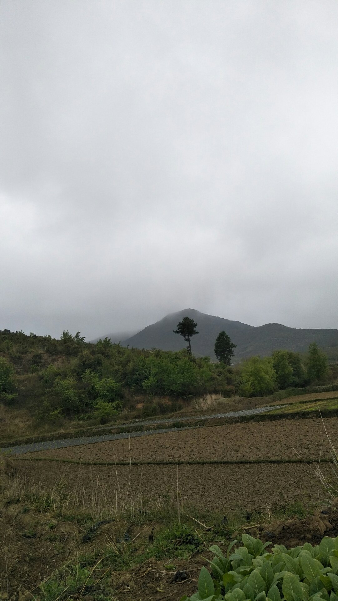 竹塘乡天气预报更新通知