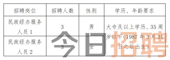 洛扎县发展和改革局最新招聘启事概览