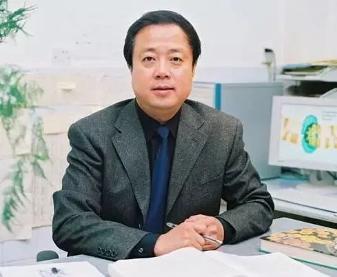 长江镇人事任命最新动态