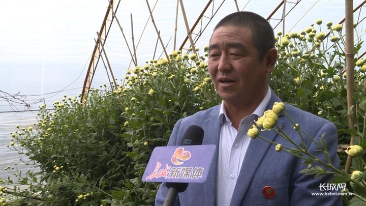 叶口村新任领导，引领繁荣进步的先锋力量