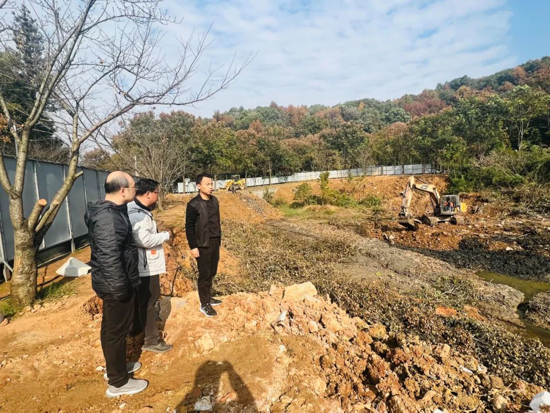 黄石市林业局推动绿色转型项目，共建生态宜居城市