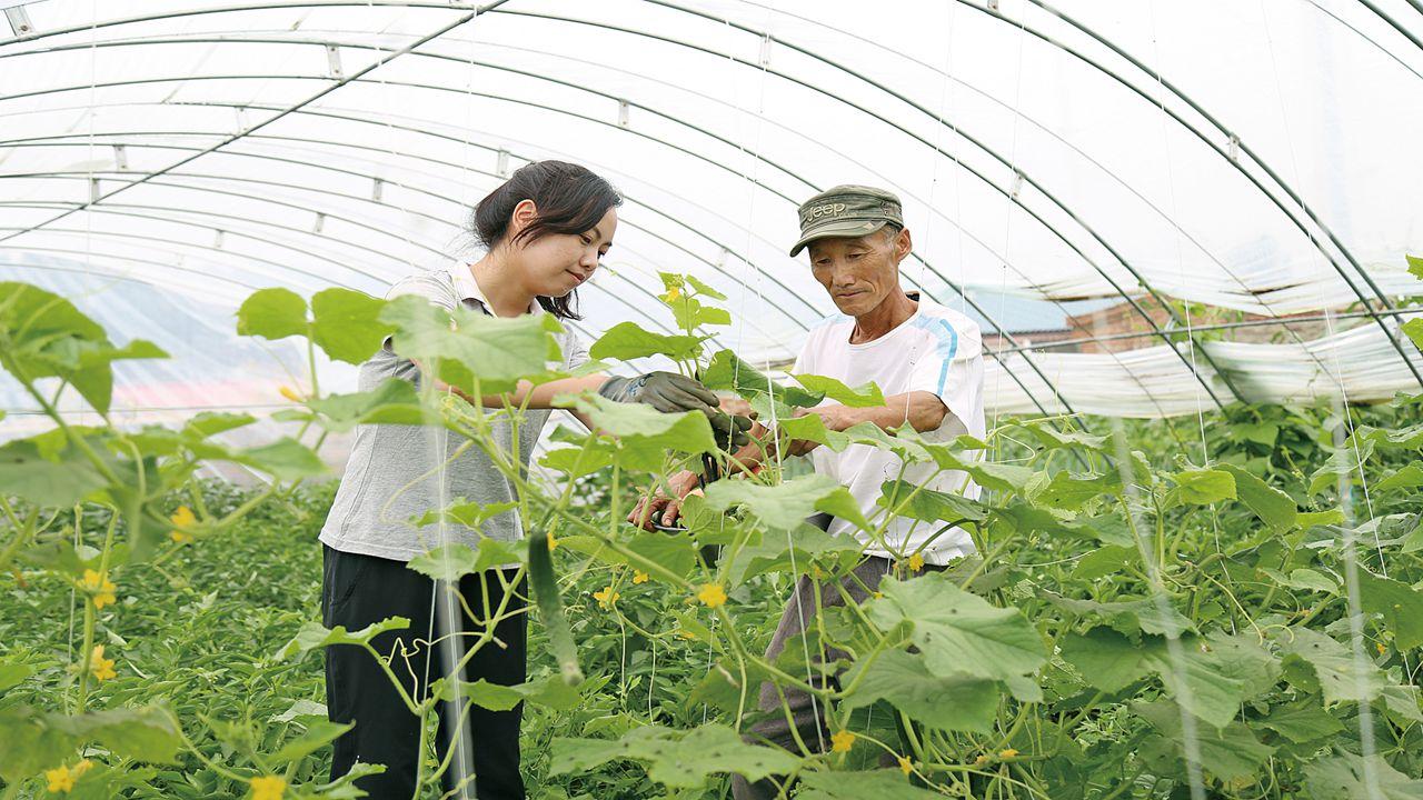 乌鲁木齐市农业局最新招聘启事概览